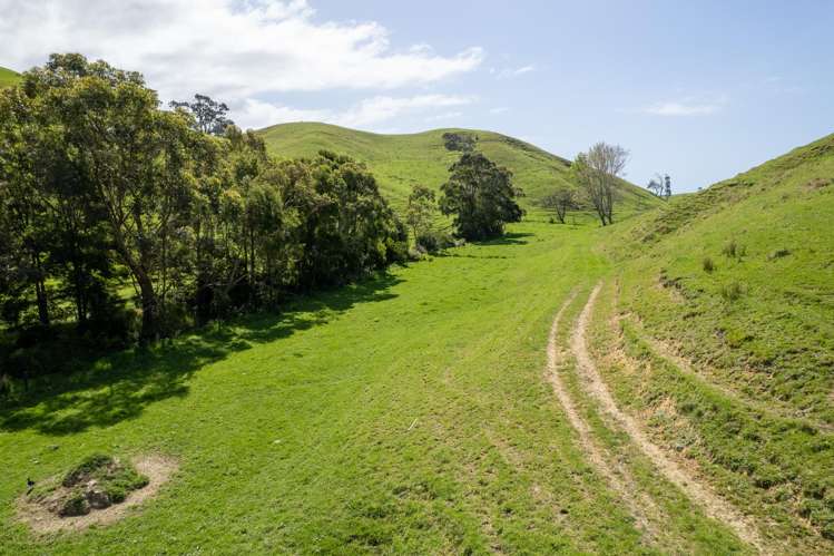 Lot 1 Rockell Road Whananaki_21