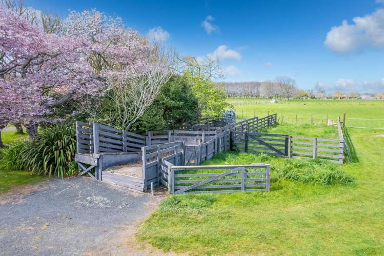 256 Kaipaki Road Ohaupo_14