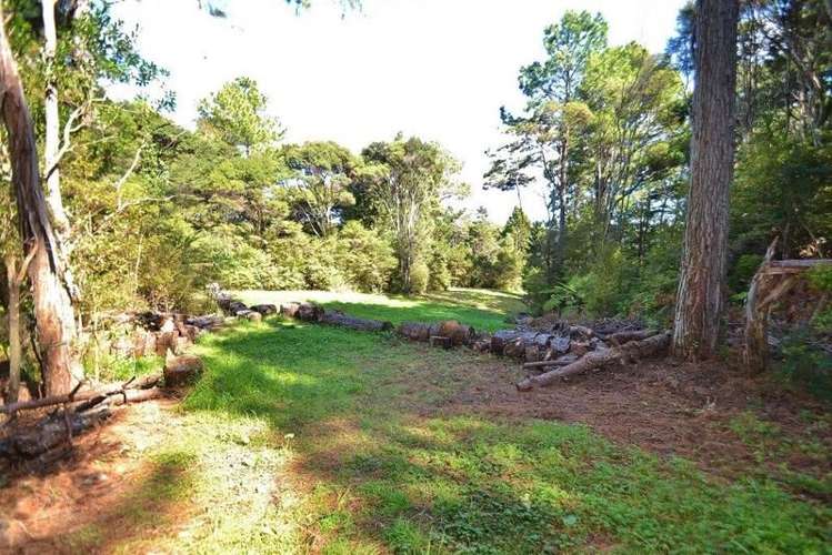 44a Crows Road Swanson_9