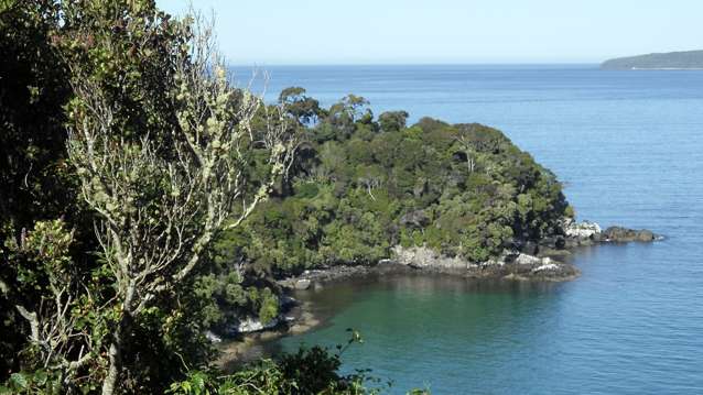 1 Traill Road Stewart Island/Rakiura_1