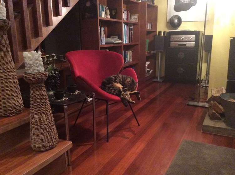 64a Ocean Beach Road Tairua_5