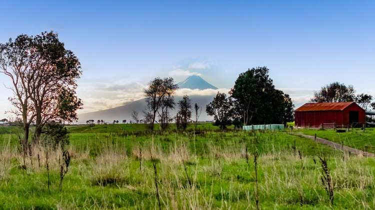 413 Ketemarae Road Normanby_5