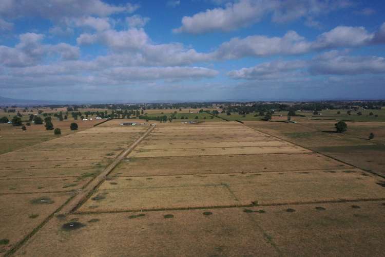 111 Mill Road Ohaupo_15