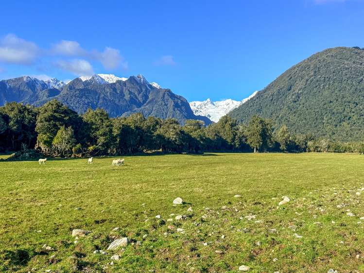 288 State Highway 6 Fox Glacier_7