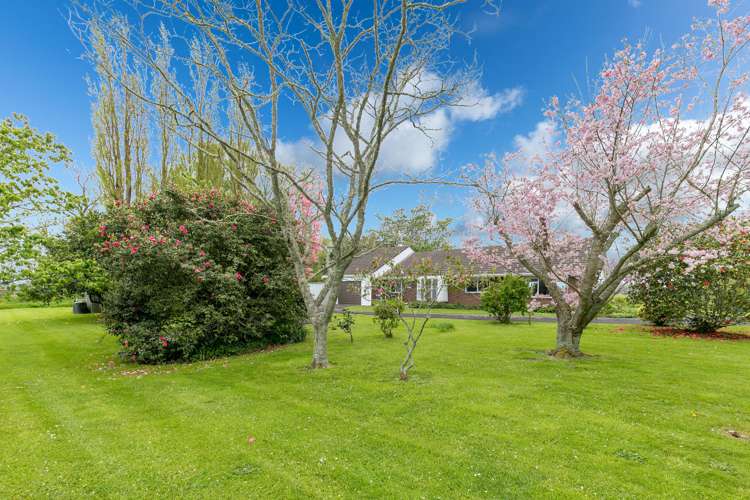 43a Limmer Road Te Kowhai_11