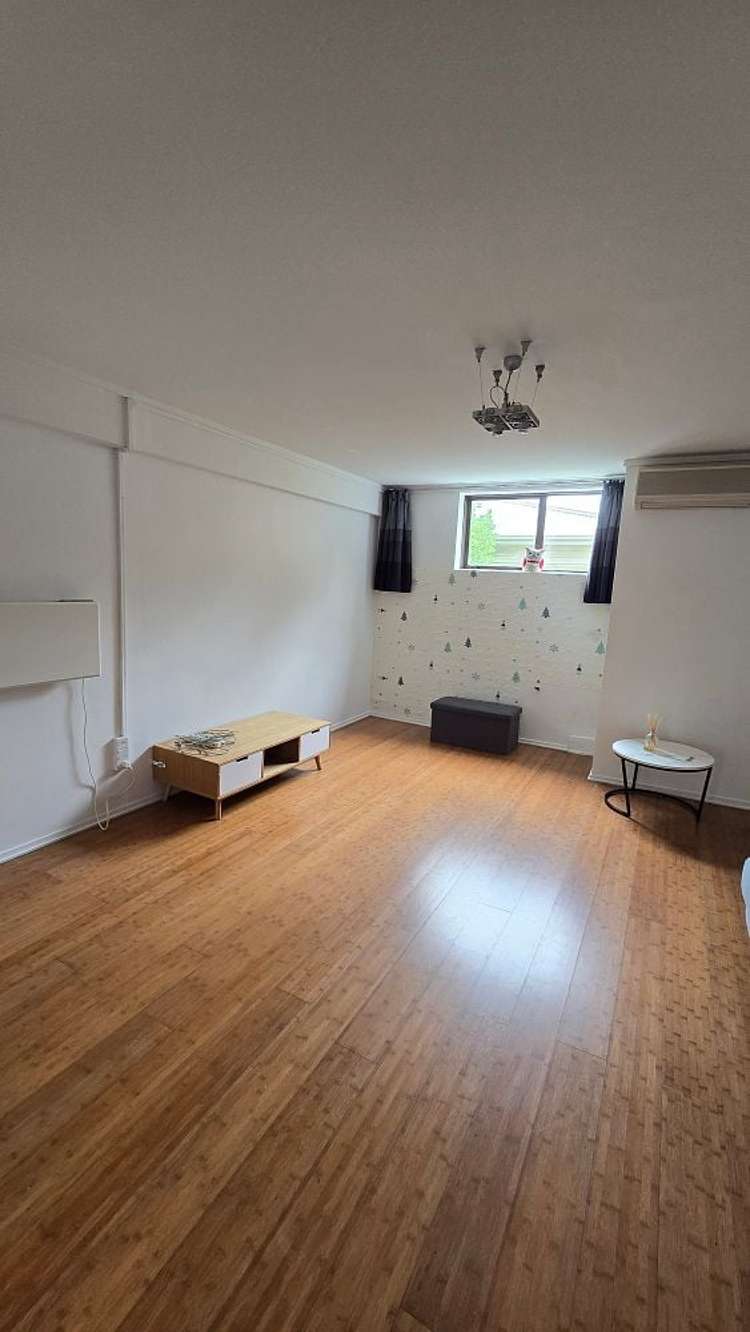 77A Miramar North Road Miramar_9