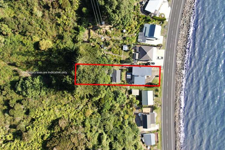 808 Thames Coast Road Te Mata_17