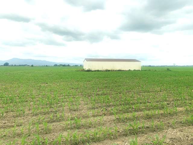 867 Waihekau Road Waitoa_4