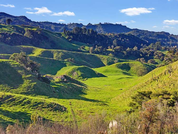18B Iramoko Lane Matata_11
