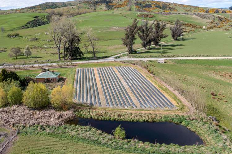 5104 Roxburgh - Ettrick Road Ettrick_20