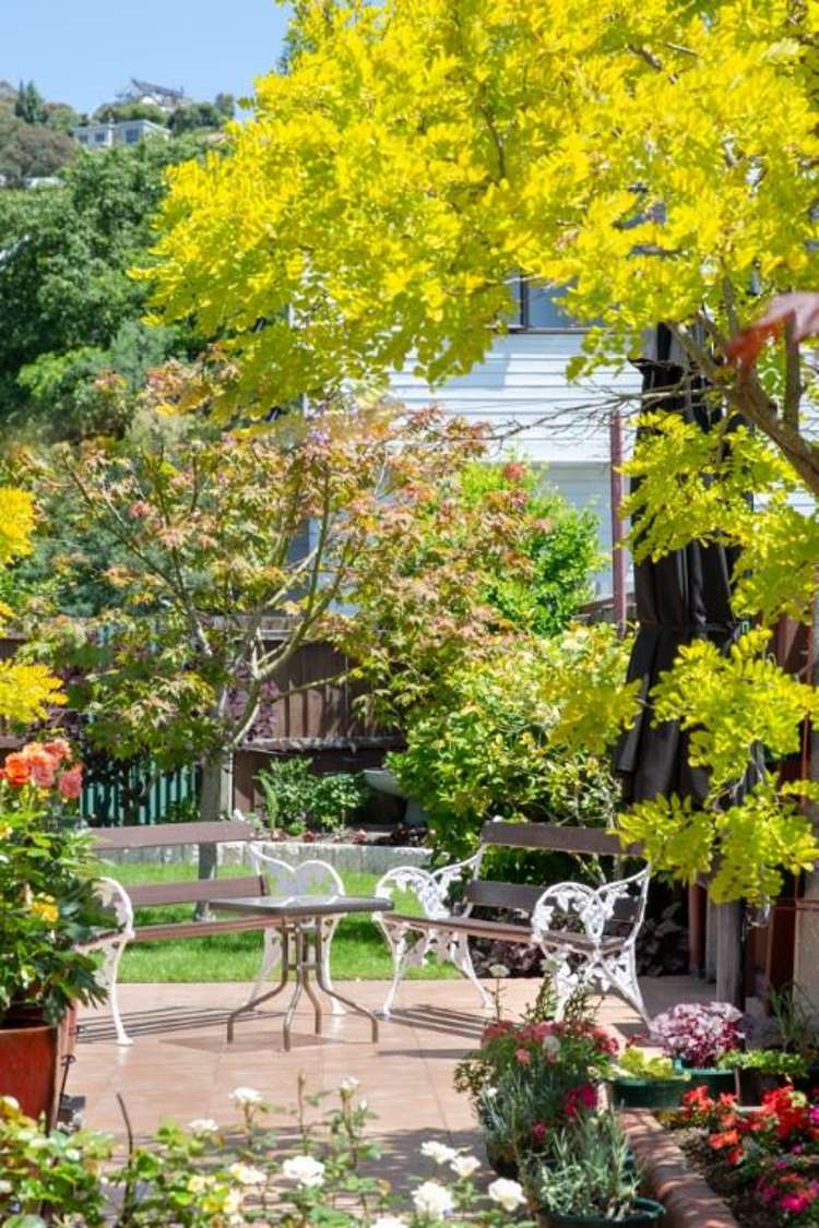 16 Landsdowne Terrace Cashmere_27