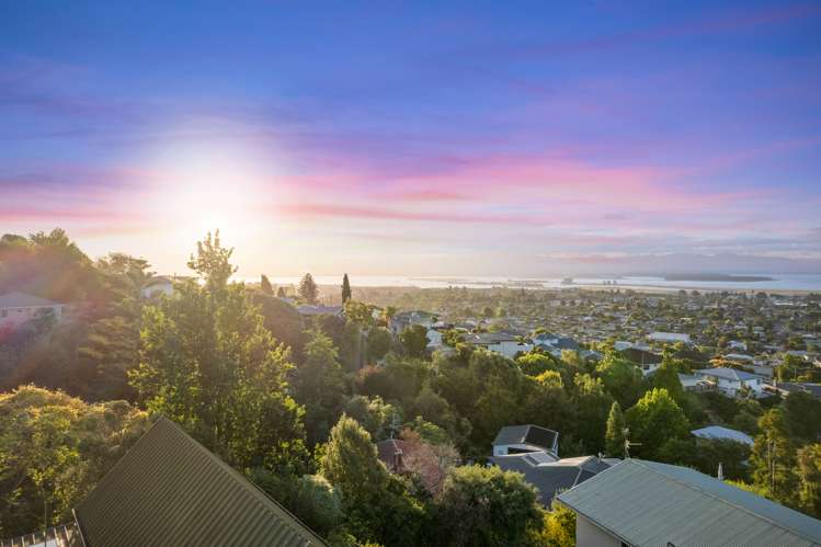 102 Arapiki Road Stoke_32