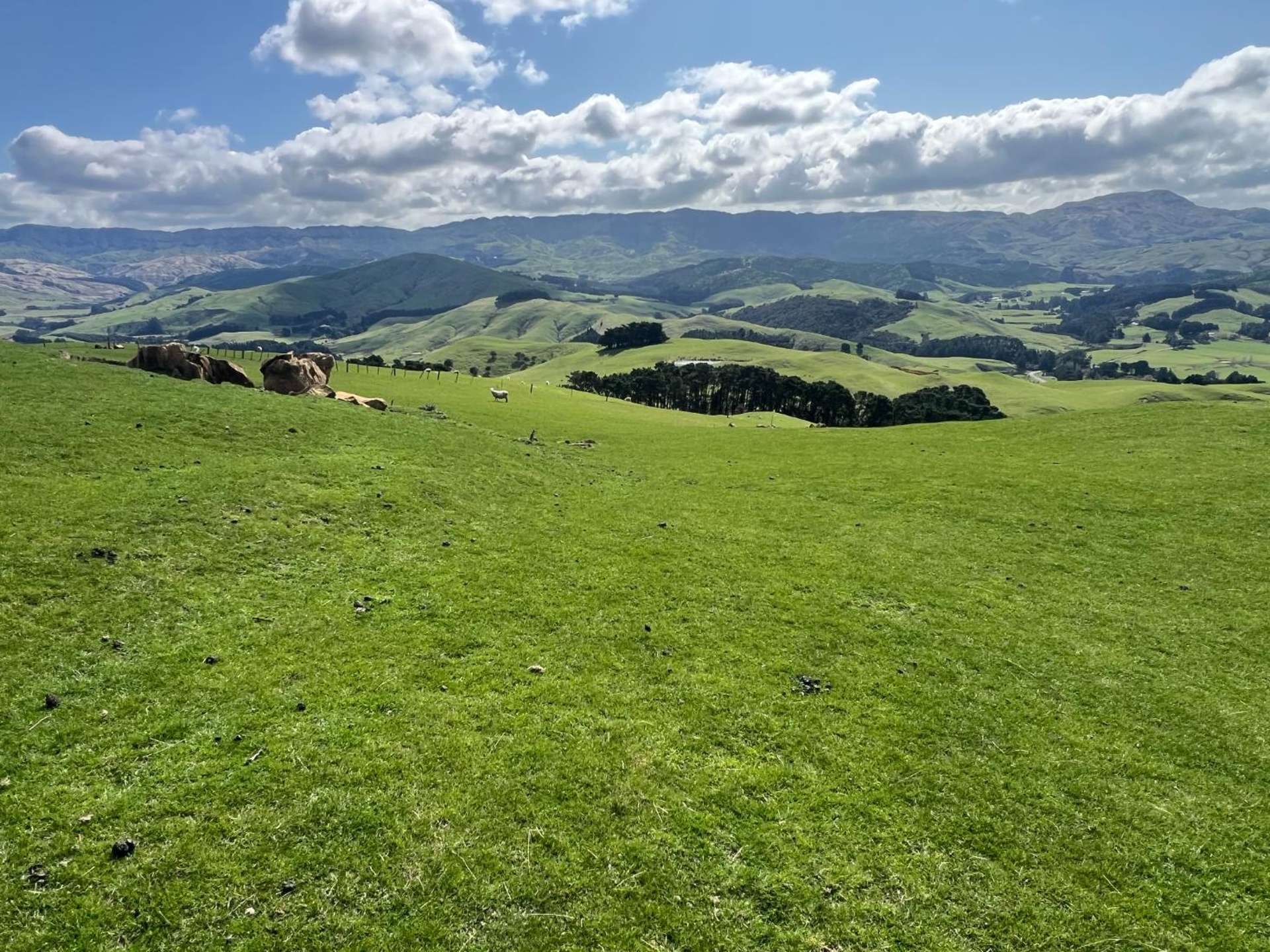 463 Waihi Valley Rd Dannevirke_0