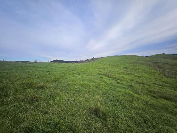 Lot 1/36 Te Moho Road Taipa_17