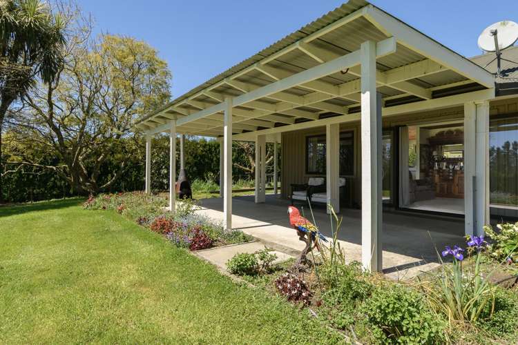 9D McQuade Road Whakamarama_5