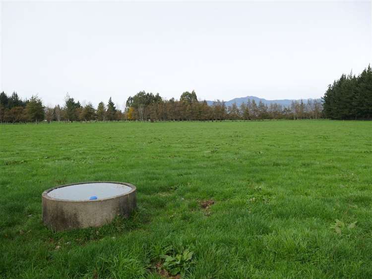 44 Wigzell Road Kahurangi National Park_12