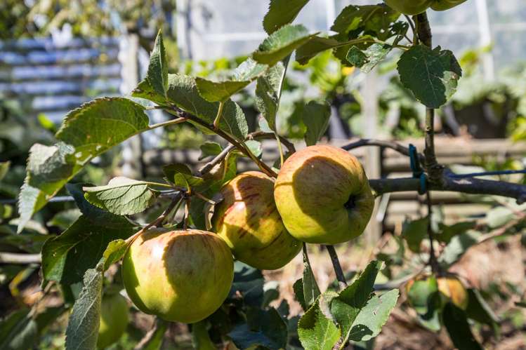 78 Oxley Crescent Broad Bay_18