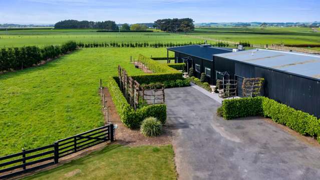 36 Arthur Street Hawera_4