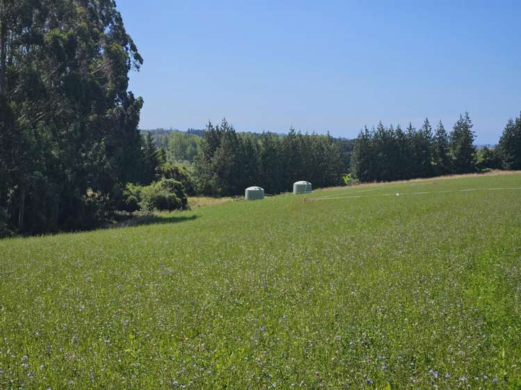 Lot 2 Brownleas Road Waimate_10