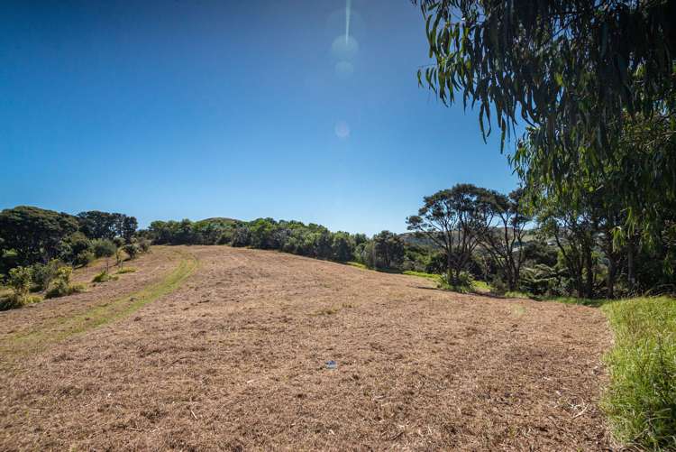 100 Musson Drive Waiheke Island_13