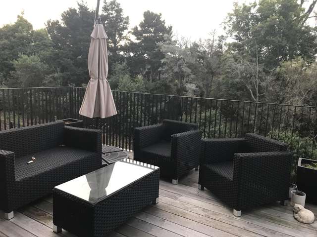 21 Lakewood Lane 11373_3
