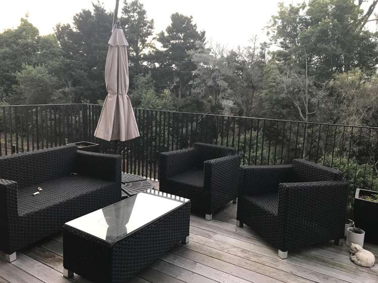 21 Lakewood Lane 11373_3