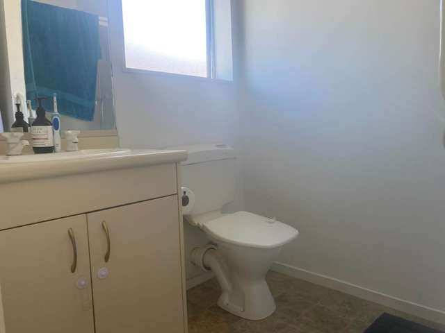 11A Blair Avenue Pukekohe_4