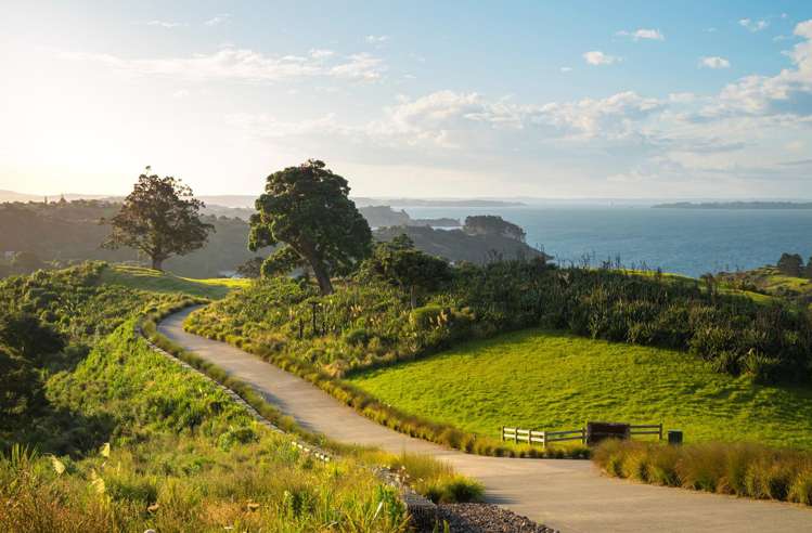 13 Lots Wawata Estate, Waiheke Island_15