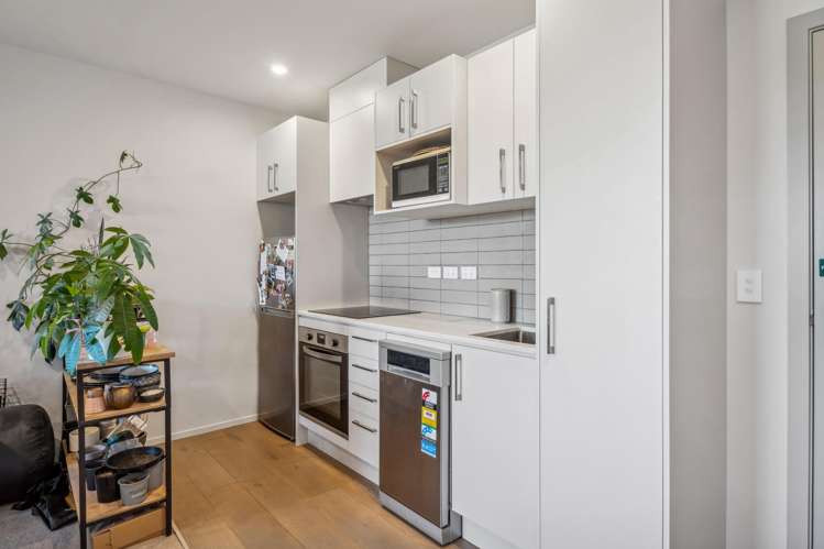 303/16 Mountain Ash Drive Frankton_1