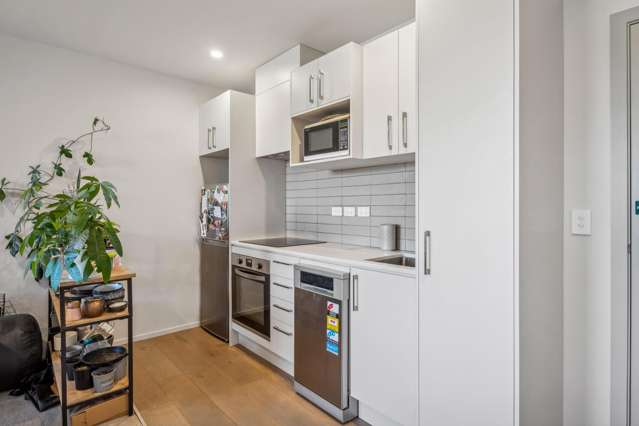 303/16 Mountain Ash Drive Frankton_1