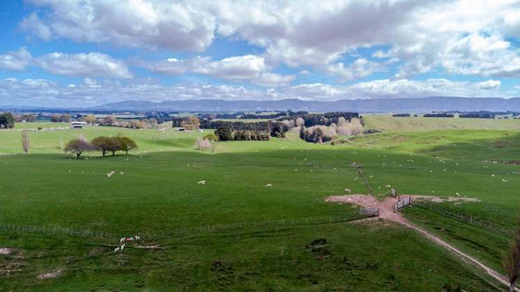 680 Cowper Road Dannevirke_23