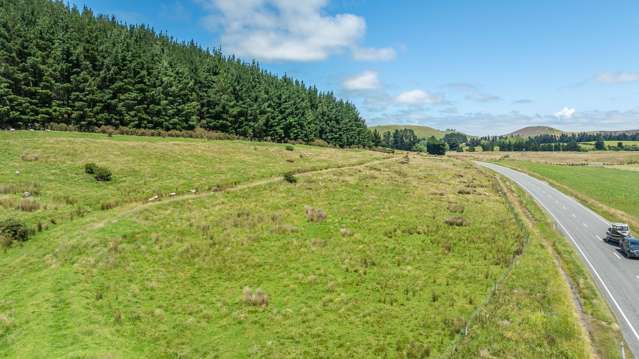 Steeles Road (off Wairiri Road) Hororata_4