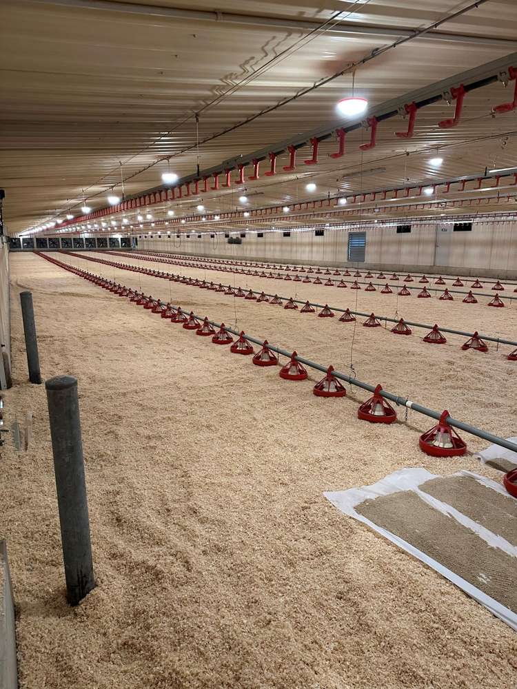 Address withheld Waikato_21