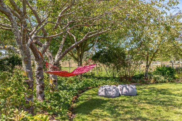 80 Battersea Road Greytown_35