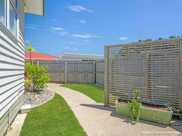 142 College Road Edgecumbe_19