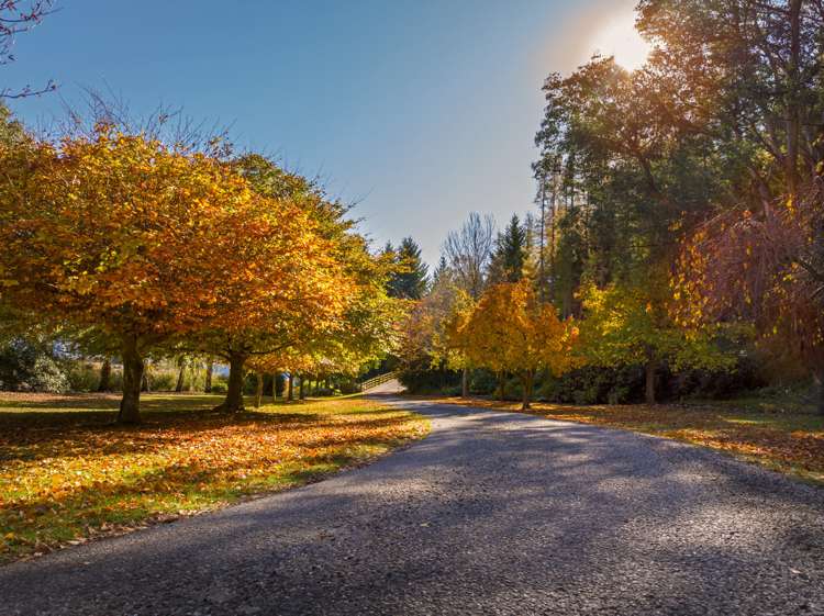 280 Wanaka-Mount Aspiring Road Wanaka_20