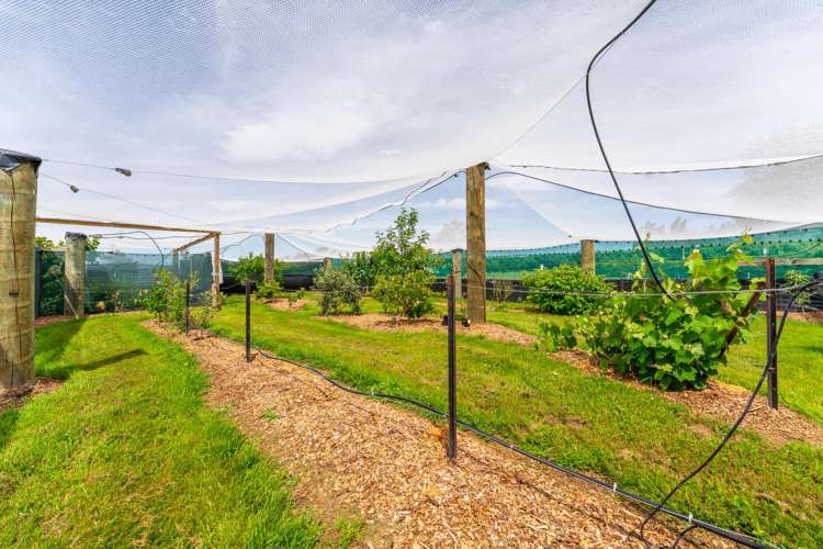 8 Arowhenua Station Road Kerrytown_22