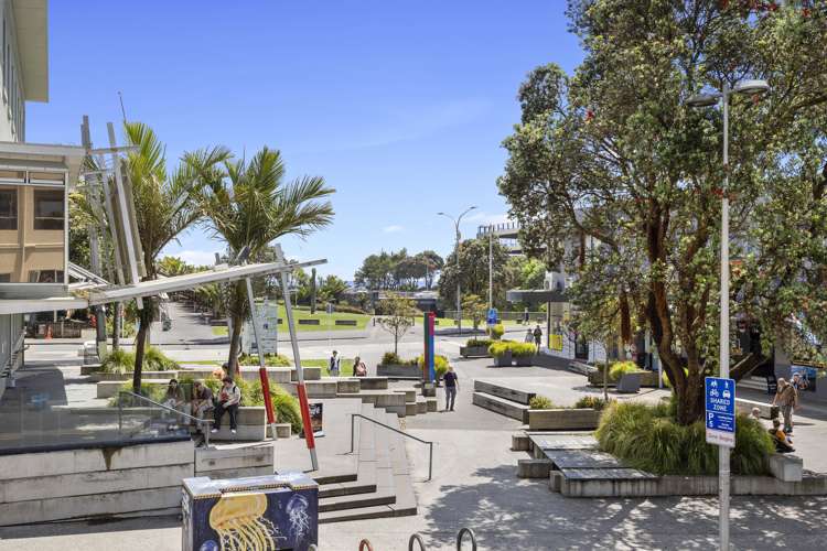 1/14 Brougham Street New Plymouth Central_19