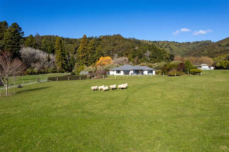 18 Hillwood Drive Wakapuaka_7