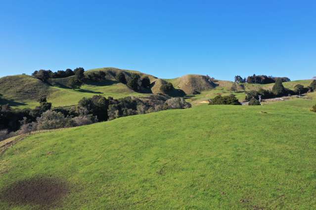 1141 Waingaro Road Glen Massey_2