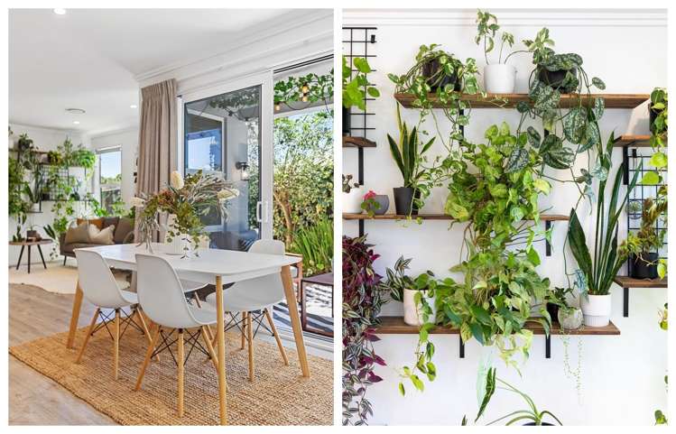 9 Kamokore Glade Pyes Pa_8