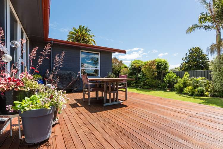 34 Buckingham Street Whakatu_11