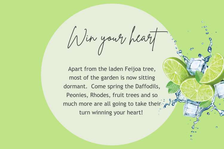 252 Williams Street Kaiapoi_16