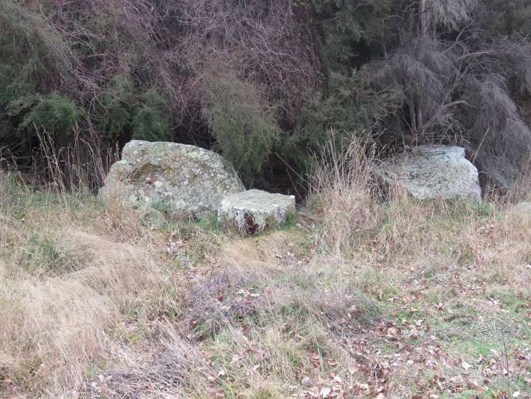 132 Willowbank Road_2