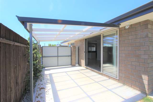 60a Lee Street Blenheim Central_3