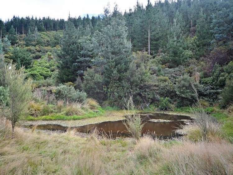 157 Mangarei Road Bideford_11