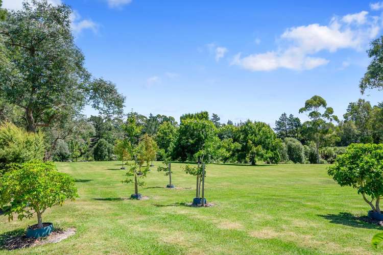 44 Hardens Lane Paremoremo_12