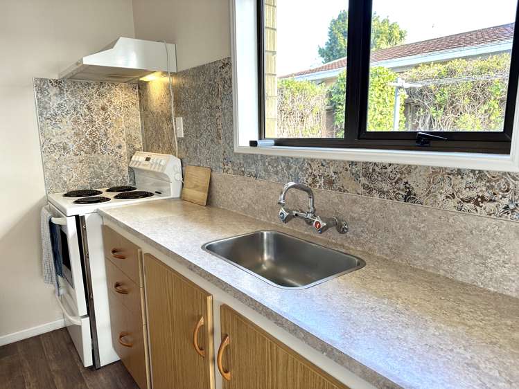 172 Ward Street Hargest_8