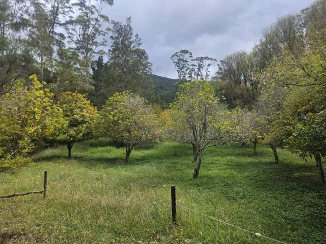 58 Kauaepepe Road Mangamuka_1