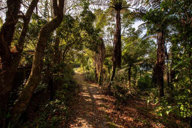 18 & 20 Te Toroa Drive Lake Tarawera_13